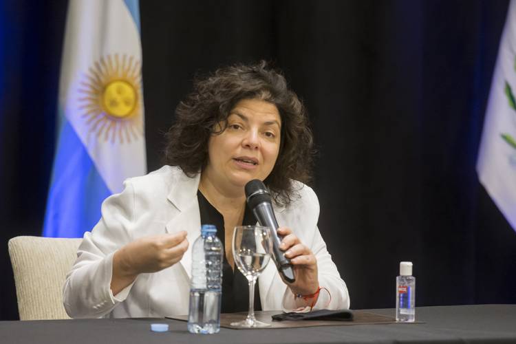 CARLA VIZZOTTI DESTACÓ EL TRABAJO QUE DESARROLLA EL SISTEMA SANITARIO DE SAN LUIS EN LA LUCHA CONTRA EL CORONAVIRUS