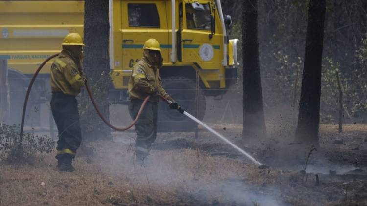 SE MANTIENEN FOCOS ACTIVOS DE INCENDIO FORESTALES EN CHUBUT Y RÍO NEGRO