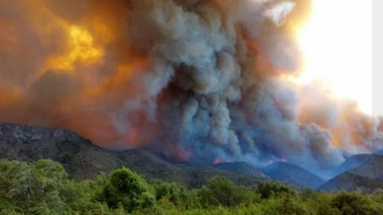 INCENDIOS FORESTALES: CONTINÚAN FOCOS ACTIVOS EN RÍO NEGRO Y CHUBUT