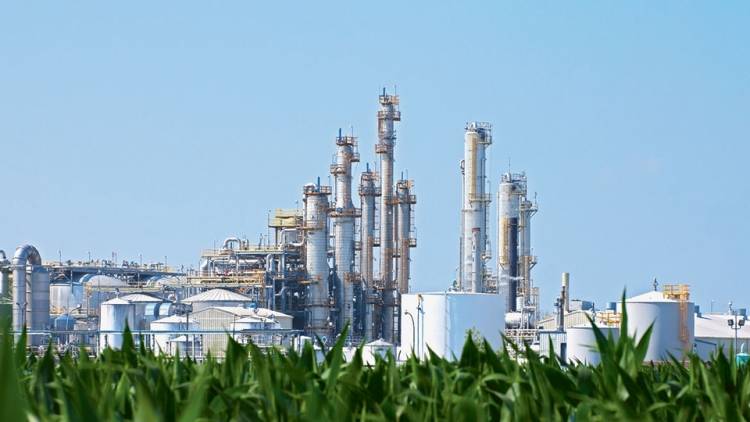 ANTE UN NUEVO PROYECTO DE LEY PARA EL SECTOR, PONE EN ESTADO DE ALERTA A LA INDUSTRIA DE BIOCOMBUSTIBLES
