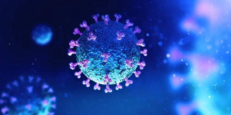 EE.UU.: DESCUBRIERON UNA FORMA DE NEUTRALIZAR EL CORONAVIRUS EN MENOS DE UN SEGUNDO