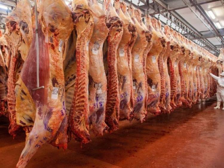 EL GOBIERNO NACIONAL FORMALIZÓ MEDIANTE EL BOLETÍN OFICIAL LA SUSPENSIÓN DE LAS EXPORTACIONES DE CARNE