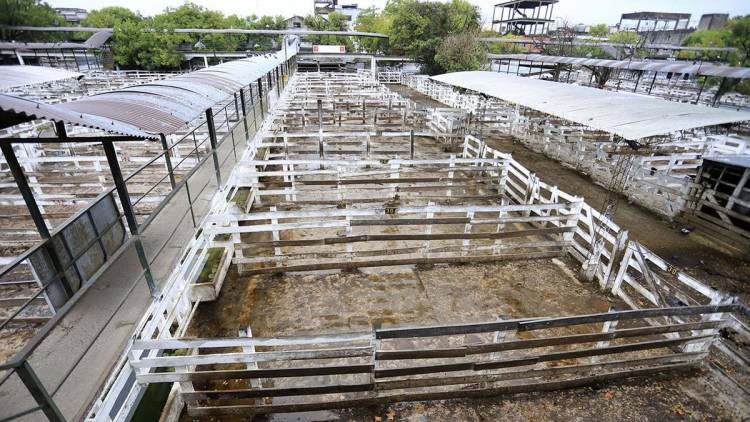 CONTINÚA EL CONFLICTO POR LA CARNE, LA MESA DE ENLACE EXTENDIÓ EL CESE DE VENTA DE HACIENDA HASTA EL MIÉRCOLES