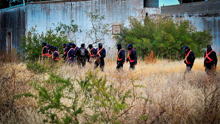 BÚSQUEDA DE GUADALUPE EN SAN LUIS: UNA PERRA MARCÓ UNA CASA Y UNA POSIBLE MANCHA DE SANGRE