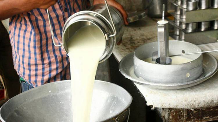 MEDIDAS QUE "AGRAVAN EL PROBLEMA": LA INDUSTRIA LÁCTEA ADVIERTE QUE EL CONGELAMIENTO DE PRECIOS ES "INVIABLE"
