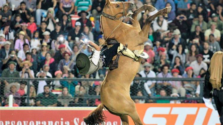 POR UNA NUEVA DISPOSICIÓN LOS JINETES DEL FESTIVAL DE JESÚS MARÍA DEBERÁN USAR CASCO Y CHALECO