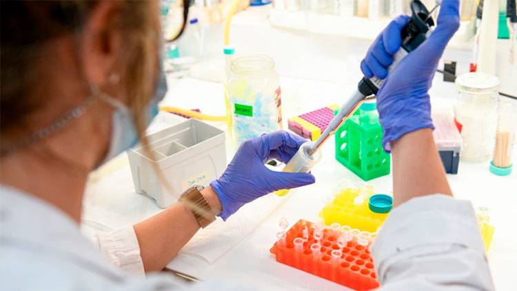 LUCHA CONTRA EL CORONAVIRUS: EN ENERO COMENZARÁN LOS ENSAYOS DE LA FASE 1 DE LA VACUNA ARGENTINA ARVAC