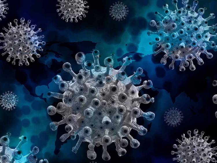 HALLARON UNA NUEVA VARIANTE DE COVID EN EL SUR DE FRANCIA