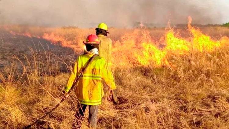 LA EMERGENCIA POR EL FUEGO EN CORRIENTES: YA SON 14 LAS PROVINCIAS QUE AYUDAN Y BOLIVIA ENVIÓ A BRIGADISTAS
