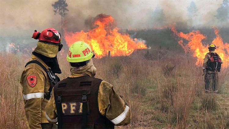 INCENDIOS EN CORRIENTES, DAÑO AMBIENTAL IRREPARABLE, INVESTIGAN EN 70 CAUSAS SI EL FUEGO FUE INTENCIONAL
