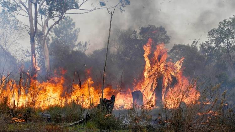 EN CORRIENTES SE REACTIVARON FOCOS DE INCENDIOS FORESTALES