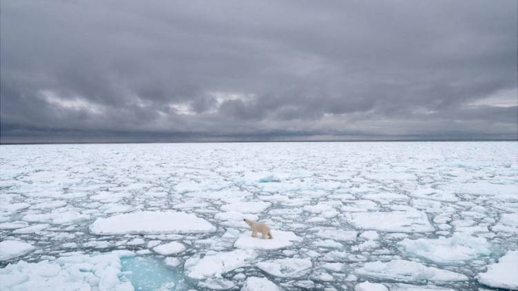 CALENTAMIENTO GLOBAL: EL ÁRTICO PERDIÓ 770.000 KILÓMETROS CUADRADOS DE HIELO, SEGÚN LA NASA