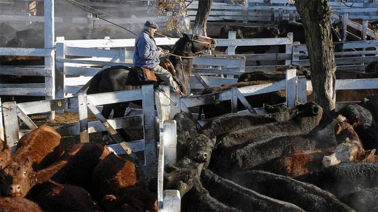 A 122 AÑOS DE SU INAUGURACIÓN CERRÓ EL MERCADO DE HACIENDA DE LINIERS, SE TRASLADA A UN POLO AGROINDUSTRIAL