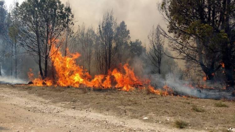 CRISIS CLIMÁTICA: JUJUY DECLARÓ LA EMERGENCIA ÍGNEA Y TRIPLICÓ LAS MULTAS POR CAUSAR INCENDIOS