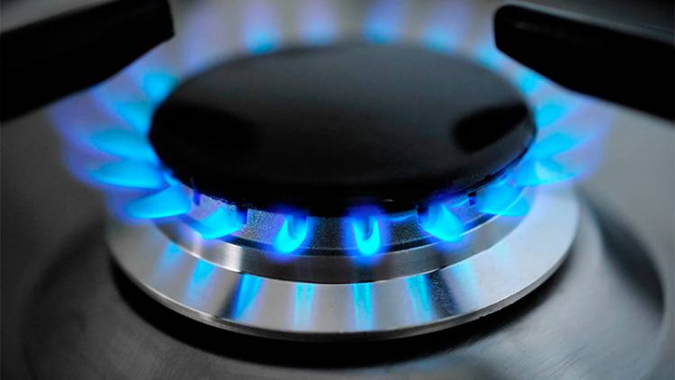 LA SECRETARÍA DE ENERGÍA CONVOCÓ A AUDIENCIA PÚBLICA PARA FIJAR PRECIOS DEL GAS NATURAL