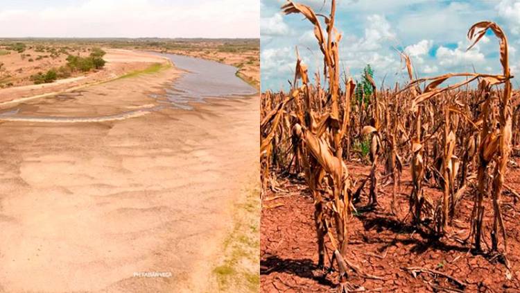 LA PREOCUPANTE ADVERTENCIA DE UN INVESTIGADOR DEL CONICET SOBRE LA SEQUÍA Y LOS RÍOS: “NO HEMOS VISTO LO PEOR”