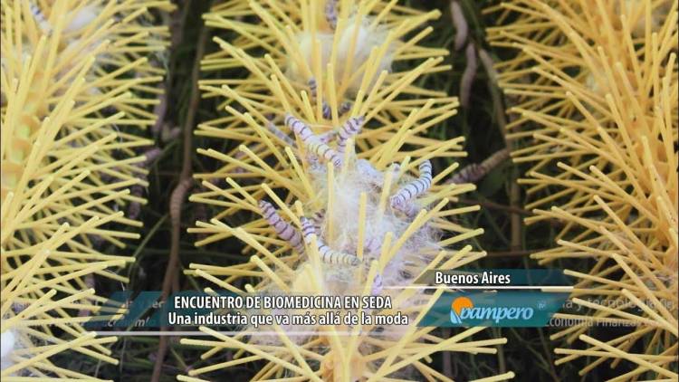BUENOS AIRES: ENCUENTRO DE BIOMEDICINA EN SEDA