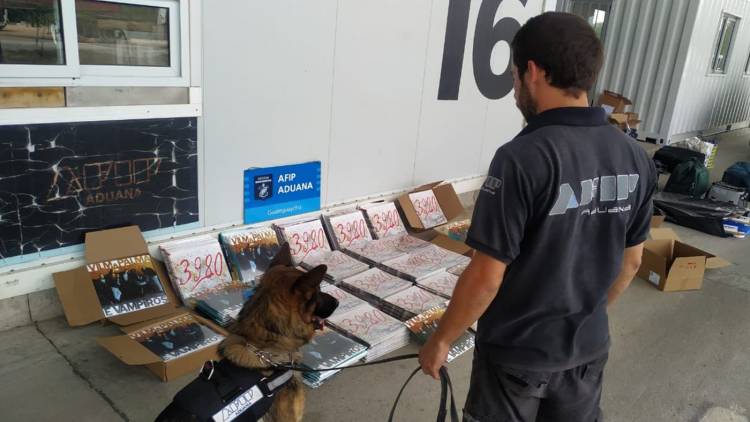 LA ADUANA INCAUTÓ 483 VINILOS DE VILMA PALMA E VAMPIROS VALUADOS EN $5 MILLONES