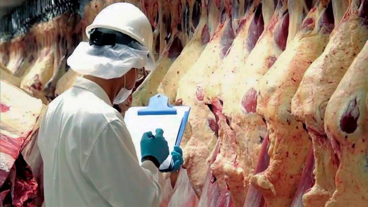 MERCADOS: CARNE, BALANCE Y EXPECTATIVAS
