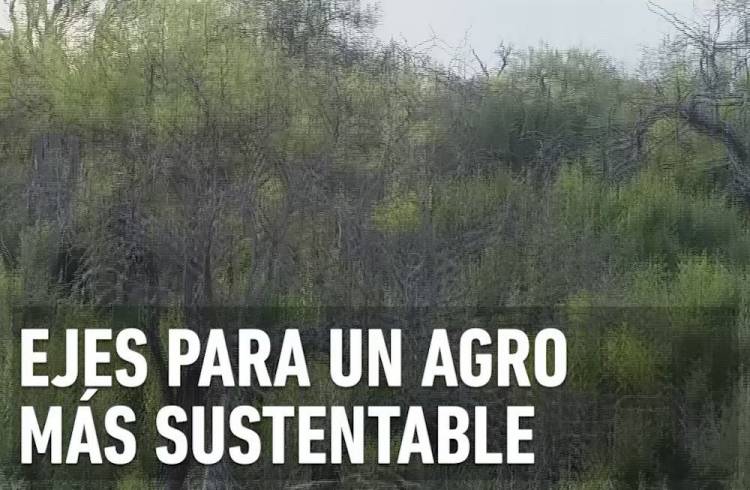 BIODIVERSIDAD: EJES PARA UN AGRO MÁS SUSTENTABLE