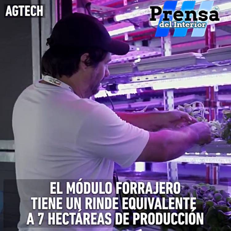 AGTECH: HIDROPONÍA MÁS ALLÁ DE LAS VERDURAS