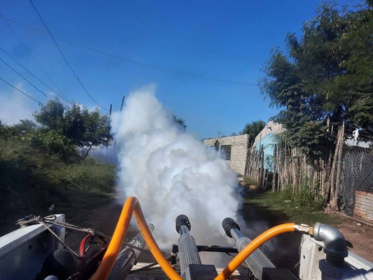 DENGUE EN TUCUMÁN: CONTINÚAN LOS TRABAJOS DE PREVENCIÓN POR PARTE DEL MINISTERIO DE SALUD PROVINCIAL