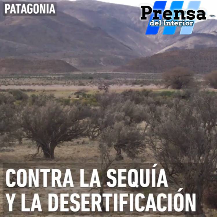 PATAGONIA: CONTRA LA DESERTIFICACIÓN Y LA SEQUÍA