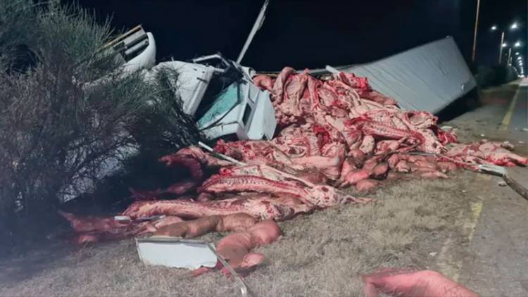 VIDEO: VOLCÓ UN CAMIÓN QUE TRANSPORTABA CARNE VACUNA A LA ALTURA DE LA LOCALIDAD SANLUISEÑA DE FRAGA Y VECINOS LO SAQUEARON