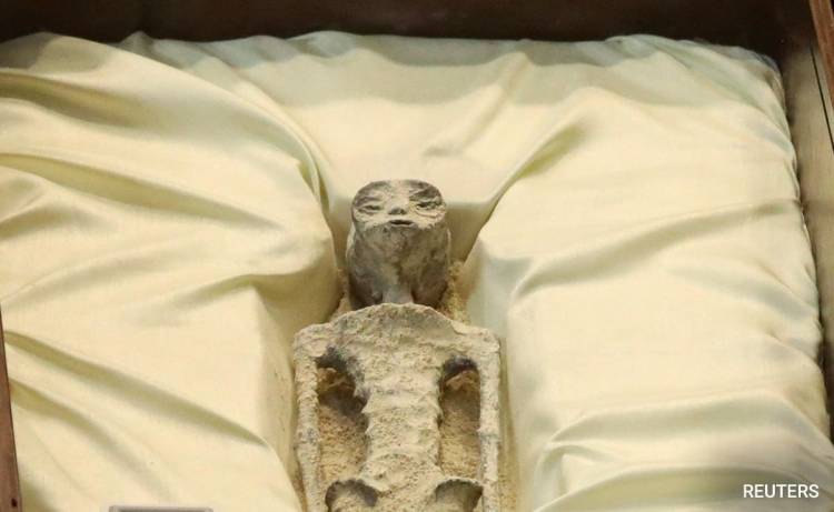 ¿ALIENS EN MÉXICO? PRESENTARON CUERPOS NO HUMANOS DE HACE 1000 AÑOS EN EL CONGRESO MEXICANO