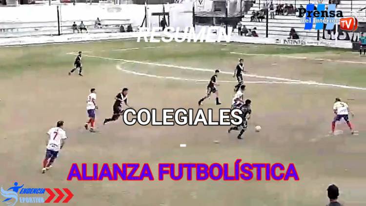 RESUMEN: COLEGIALES - AVIADOR ORIGONE