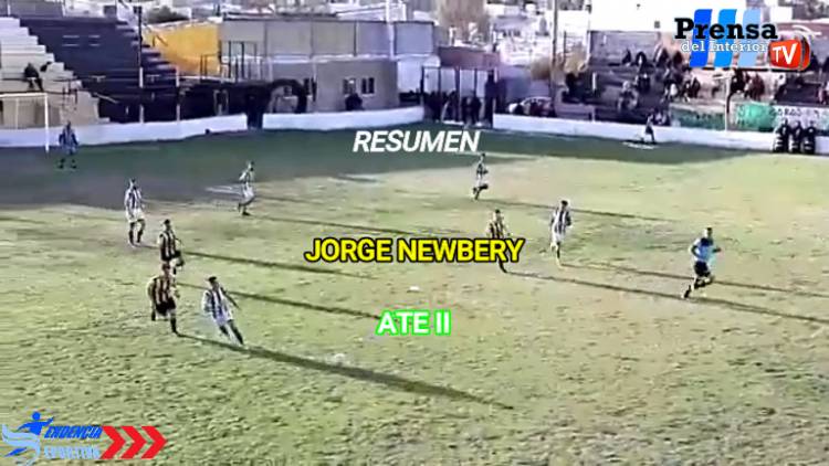 RESUMEN: JORGE NEWBERY - ATE II