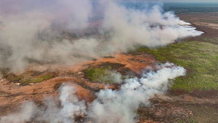 ALIVIO AMBIENTAL: LLUVIAS EN EL CENTRO DE BRASIL APAGAN INCENDIOS EN EL MAYOR HUMEDAL DEL PLANETA