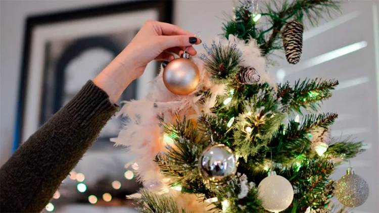 8 DE DICIEMBRE: ¿POR QUÉ SE ARMA HOY EL ARBOLITO DE NAVIDAD?