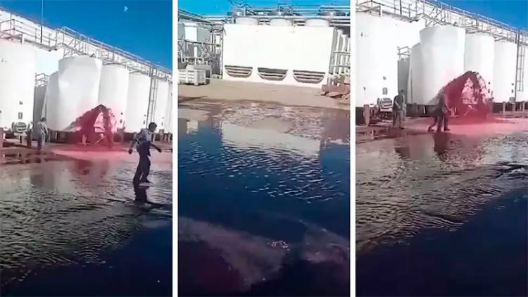 MILLONARIAS PÉRDIDAS EN MENDOZA: SE DERRAMARON MÁS DE 50.000 LITROS DE VINO POR LA EXPLOSIÓN DE UN TANQUE