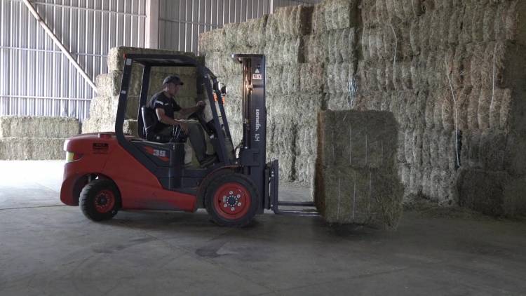 IMPULSO AL SECTOR PRIVADO: SAN LUIS CONCRETÓ LA EXPORTACIÓN DE 550 TONELADAS DE ALFALFA A ARABIA SAUDITA