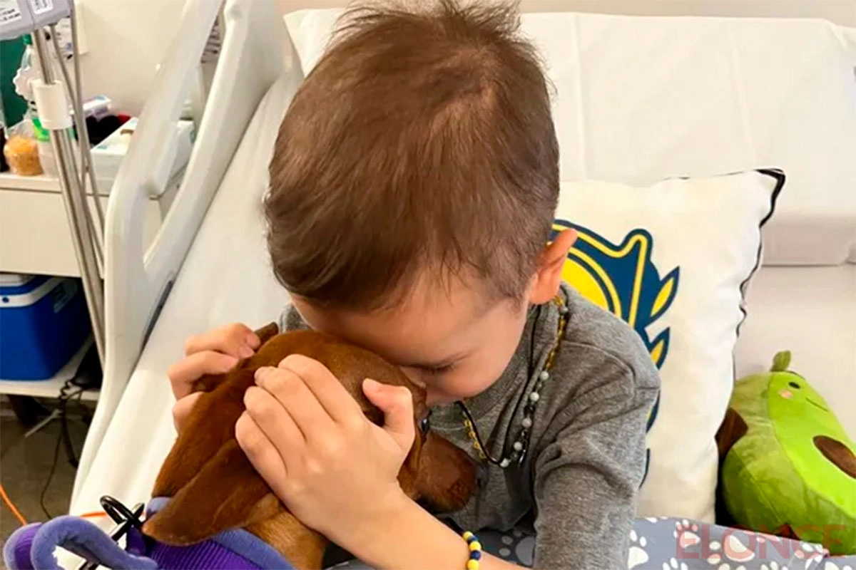 ROSARIO: NIÑO RECIBIÓ A SU PERRITA DURANTE TRATAMIENTO DE QUIMIOTERAPIA Y SU ÁNIMO MEJORÓ