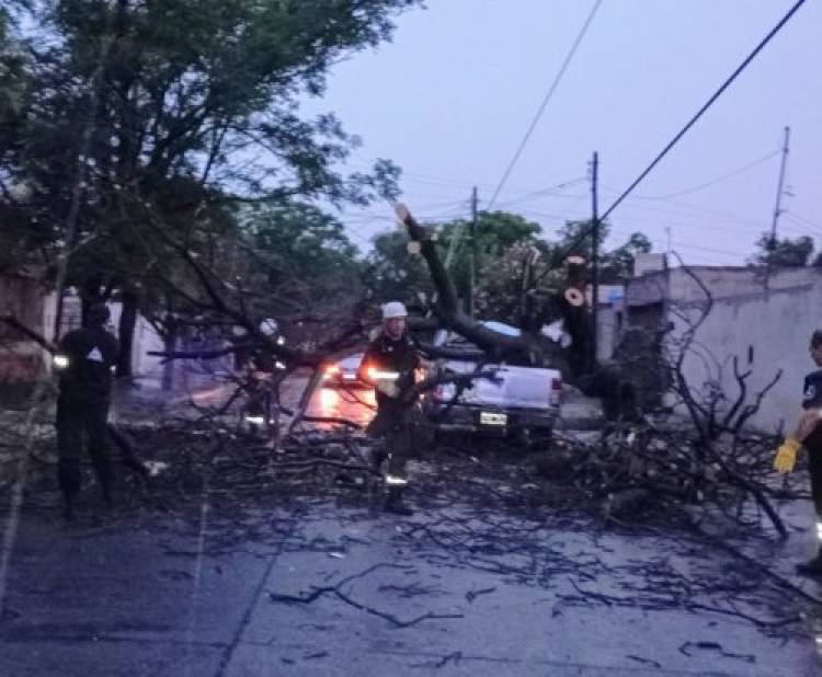 EL GOBIERNO DE SAN LUIS ATIENDE LAS NECESIDADES DE LOS VECINOS AFECTADOS POR LA TORMENTA