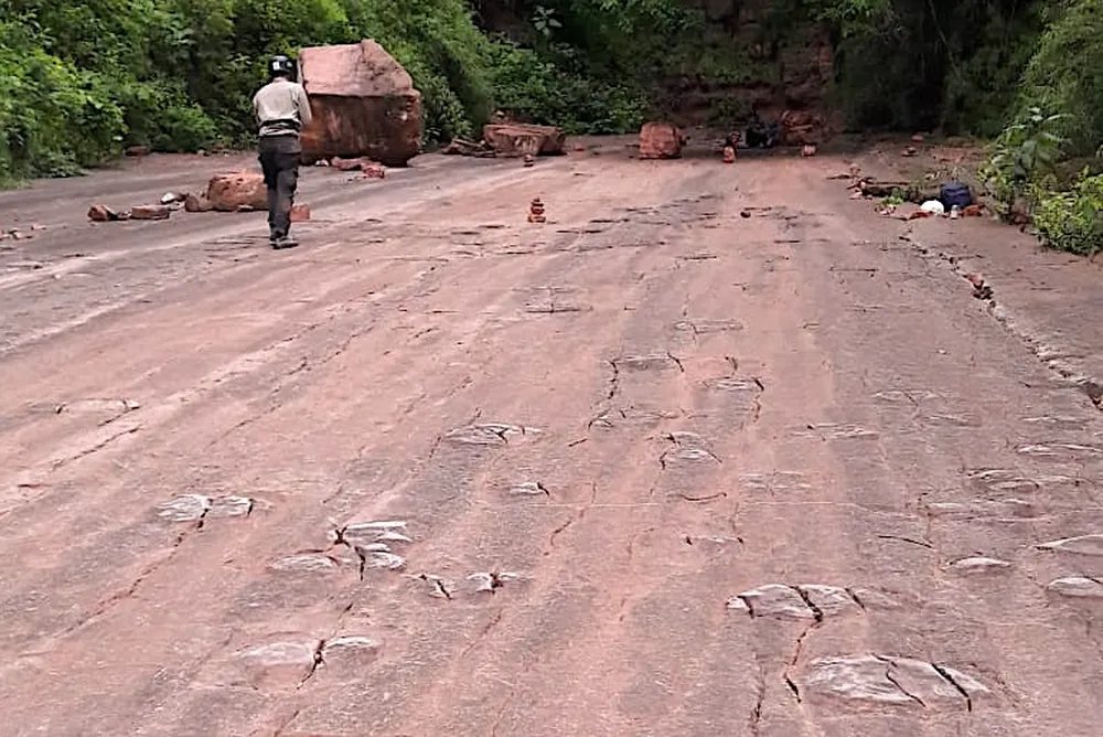 PALEONTOLOGÍA EN JUJUY: DESCUBREN MÁS DE 500 HUELLAS FÓSILES DE DINOSAURIOS