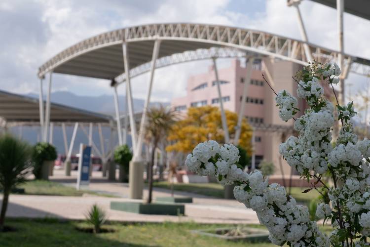 EQUINOCCIO 2025: EL 22 DE SEPTIEMBRE COMENZARÁ LA PRIMAVERA