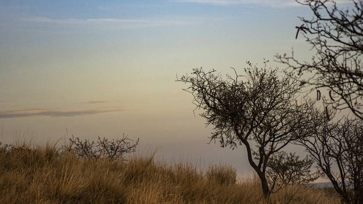 SAN LUIS: MARTES CON CIELO DESPEJADO Y MÁXIMA DE 25°