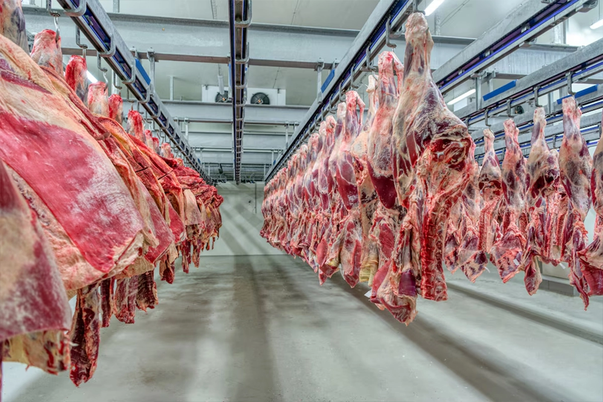 RETENCIONES CERO PARA CARNES SEGUIRÁN HASTA EL 31 DE OCTUBRE