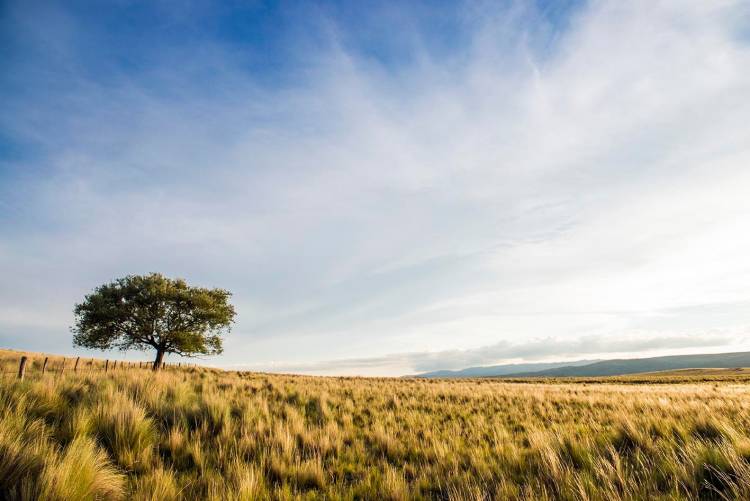 MARTES NUBOSO Y CON LLUVIAS AISLADAS EN EL NORTE DE SAN LUIS