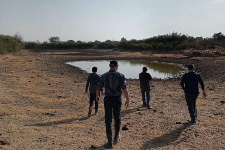 SAN LUIS AVANZA CON PLANES DE MANEJO DE BOSQUE Y GANADERÍA INTEGRADA