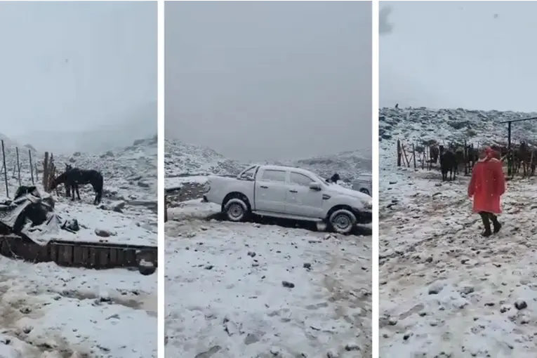 NEVADA SORPRESIVA EN MENDOZA A DÍAS DEL INICIO DEL VERANO