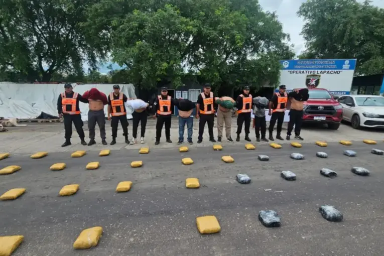 Golpe al narcotráfico en Tucumán: secuestran 203 kilos de marihuana