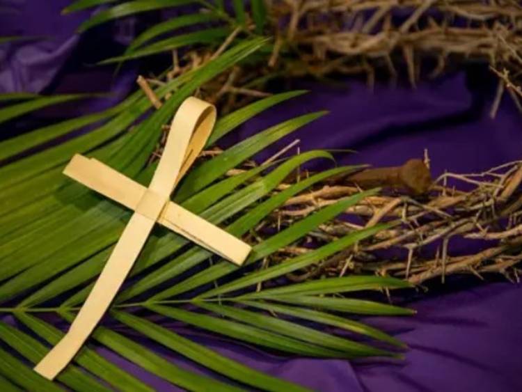 Domingo de Ramos: la Iglesia Católica inicia la Semana Santa
