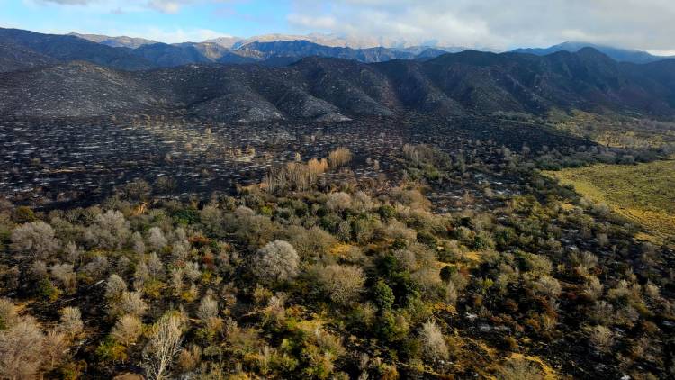 Incendio en Estancia Grande: el fuego está contenido en un 85% y continúa un amplio operativo en San Luis