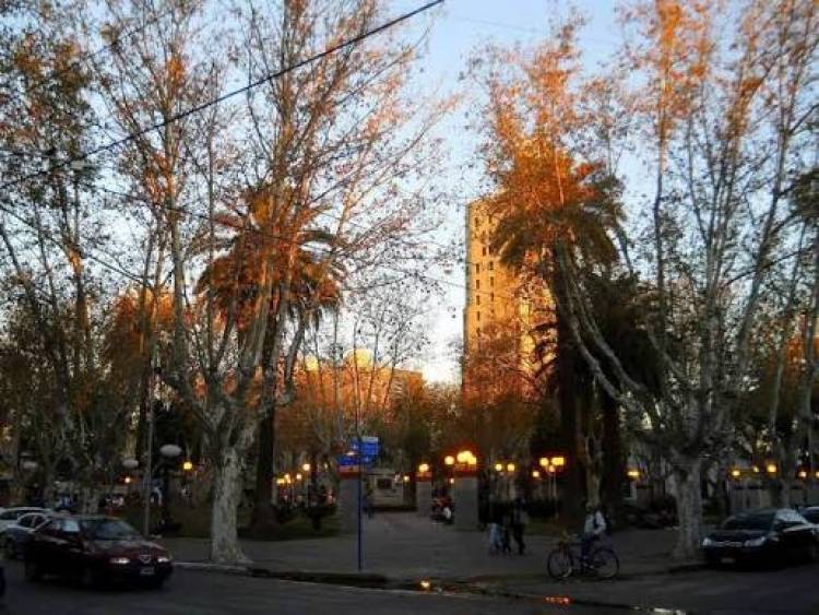 Cambio climático en Villa Mercedes: temperaturas extremas, sequías y desafíos para la producción