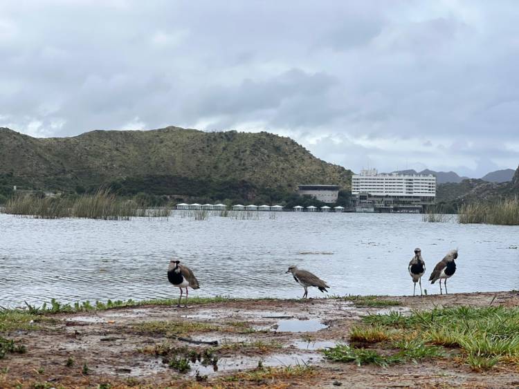 Clima en San Luis: lunes con lluvias, tormentas y hasta 60 km/h